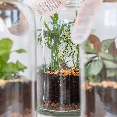 Abbraccio Di * سيينا