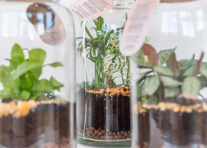 Abbraccio Di * Σιένα